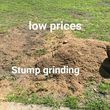 Photo #7: STUMP GRINDING,,tree,lawn grading and drainage service
