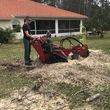 Photo #9: STUMP GRINDING,,tree,lawn grading and drainage service