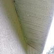 Photo #3: Leaking roof, exterior home damage, attic and roof inspections!