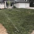 Photo #2: Best Quality Sod and Landscaping