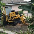 Photo #4: Stump Grinding, Tree Removal, Pruning, Storm Damage Clean-up