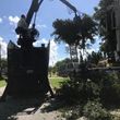 Photo #7: Stump Grinding, Tree Removal, Pruning, Storm Damage Clean-up