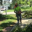 Photo #8: Stump Grinding, Tree Removal, Pruning, Storm Damage Clean-up