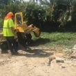 Photo #10: Stump Grinding, Tree Removal, Pruning, Storm Damage Clean-up