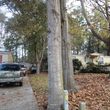 Photo #5: Rey's Tree Service of Tallahassee, LLC