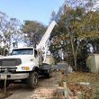 Photo #6: Rey's Tree Service of Tallahassee, LLC