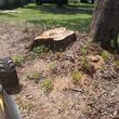 Photo #4: stump grinding service