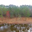 Photo #4: Forestry Mulching Land Clearing