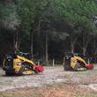 Photo #5: Forestry Mulching Land Clearing
