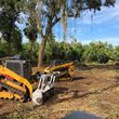 Photo #7: Forestry Mulching Land Clearing