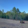 Photo #14: Forestry Mulching Land Clearing