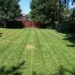 Photo #2: Quality Care Landscaping LLC