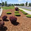 Photo #7: Quality Care Landscaping LLC