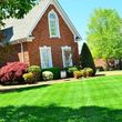 Photo #1: Affordable Quality Yard Care Tree Trimming ext, Free Estimates