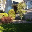 Photo #8: Affordable Quality Yard Care Tree Trimming ext, Free Estimates
