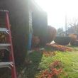 Photo #9: Affordable Quality Yard Care Tree Trimming ext, Free Estimates