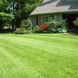 Photo #12: Affordable Quality Yard Care Tree Trimming ext, Free Estimates