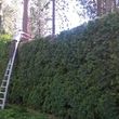 Photo #5: TOP*NOTCH*PRUNING*&MORE🏡We Do It ALL...Prepare For FALL!!!