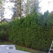 Photo #6: TOP*NOTCH*PRUNING*&MORE🏡We Do It ALL...Prepare For FALL!!!