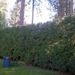 Photo #7: TOP*NOTCH*PRUNING*&MORE🏡We Do It ALL...Prepare For FALL!!!