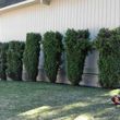 Photo #14: TOP*NOTCH*PRUNING*&MORE🏡We Do It ALL...Prepare For FALL!!!