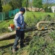 Photo #1: LEO'S TREE SERVICE LLC