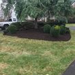 Photo #3: YARD CLEAN UPS /TREE SERVICE/ TRIMING/ MULCHING/  FENCE / 30%OFF