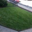 Photo #5: YARD CLEAN UPS /TREE SERVICE/ TRIMING/ MULCHING/  FENCE / 30%OFF