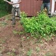 Photo #10: YARD CLEAN UPS /TREE SERVICE/ TRIMING/ MULCHING/  FENCE / 30%OFF