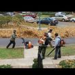 Photo #14: YARD CLEAN UPS /TREE SERVICE/ TRIMING/ MULCHING/  FENCE / 30%OFF