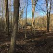 Photo #7: Brush Clearing, Land Restoration