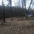 Photo #10: Brush Clearing, Land Restoration