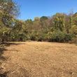 Photo #16: Brush Clearing, Land Restoration