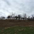 Photo #21: Brush Clearing, Land Restoration