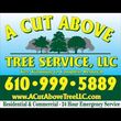 Photo #4: 🌲A CUT ABOVE TREE SERVICE   LLC🌲