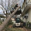 Photo #7: 🌲A CUT ABOVE TREE SERVICE   LLC🌲