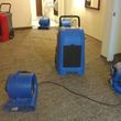 Photo #4: PROFESSIONAL STEAM CARPET CLEANING (TRUCK MOUNTED UNIT )