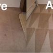 Photo #1: PROFESSIONAL CARPET & TILE CLEANING - Starting at 3 rooms for $60