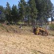 Photo #19: Grading, Excavation, Landscaping, Demolition, and Tree/Brush Removal