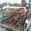 Photo #4: TREE REMOVAL -Hauling & Cleanup ~Landscaping -promt bids & service