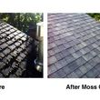 Photo #1: Roof Moss Removal