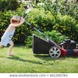 Photo #4: COMPLETE FALL YARD CLEAN UPS STARTING AT ONLY $99!! CALL NOW!!
