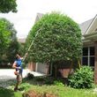 Photo #1: Lawn Mowing Grass cutting shrub pruning aeration