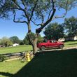 Photo #4: Charros Tree Service *The Arbor Specialist *   (insured &licenced)