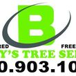 Photo #1: BUDDY"S TREE SERVICE