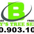 Photo #1: BUDDY"S TREE SERVICE