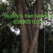 Photo #15: BUDDY"S TREE SERVICE