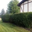 Photo #6: LAWN CARE, LANDSCAPING, INSTALLATION, QUALITY WORK,