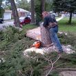 Photo #18: Tree Cutting Service-Tree Removal
