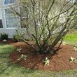 Photo #16: GREATSCAPE LANDSCAPING AND TREE SERVICES